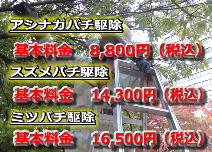 ハチ駆除基本料金一覧