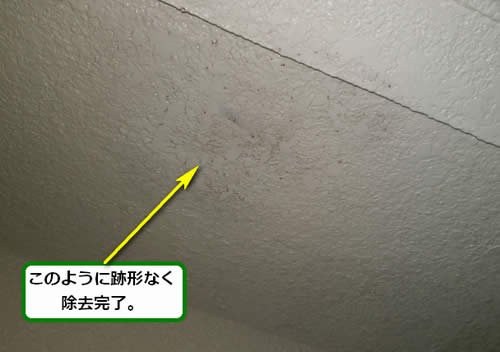 スズメバチの巣駆除軒下