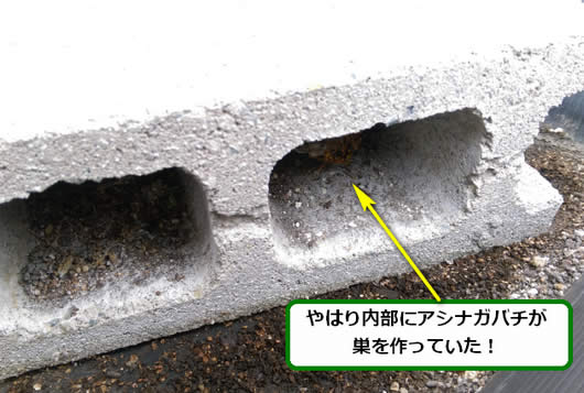 アシナガバチの巣駆除ブロック