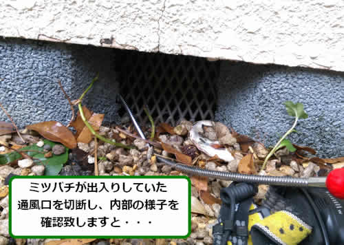 ミツバチ駆除床下