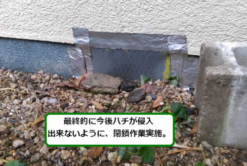 ミツバチ侵入防止