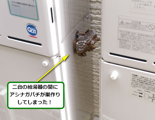 アシナガバチ駆除給湯器