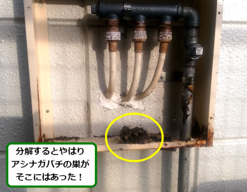 アシナガバチ駆除ボックス