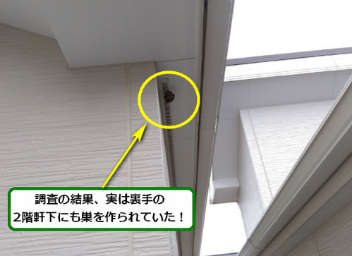 アシナガバチ駆除軒下