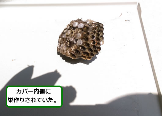 アシナガバチの巣駆除給湯器