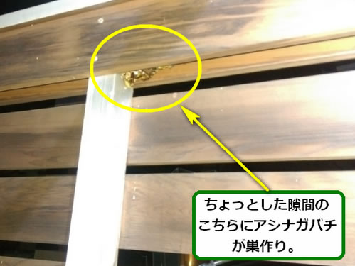 アシナガバチ駆除囲い隙間