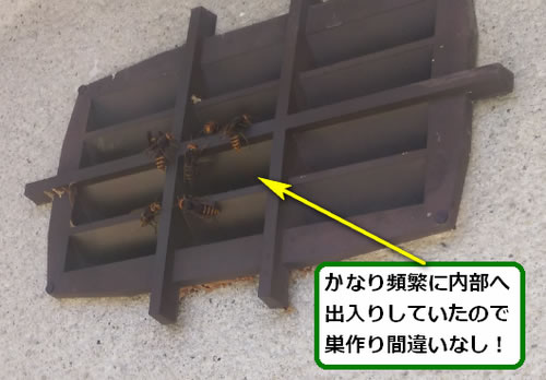 スズメバチ駆除屋根裏内