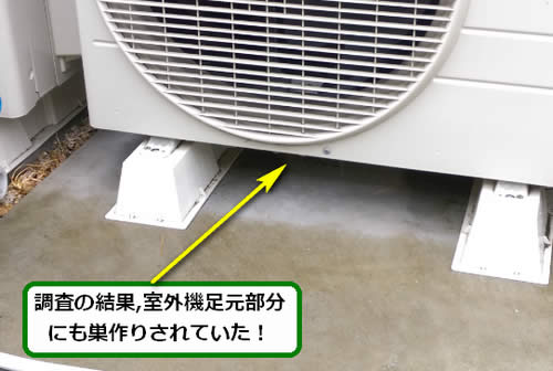 アシナガバチ駆除室外機