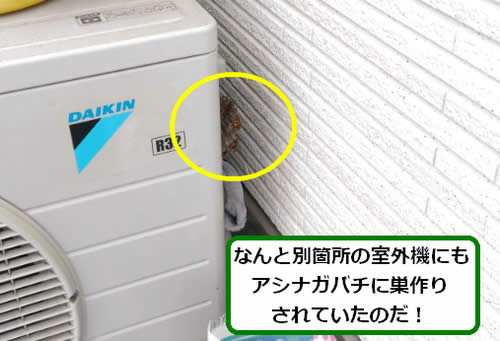 アシナガバチ駆除室外機