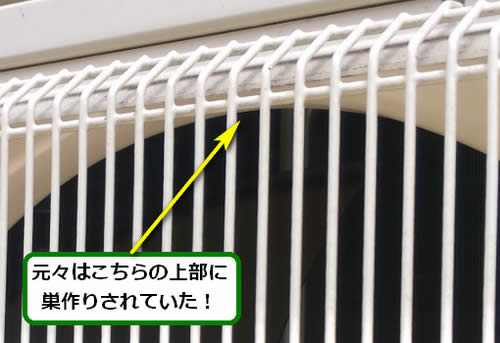 アシナガバチの巣痕跡室外機内部