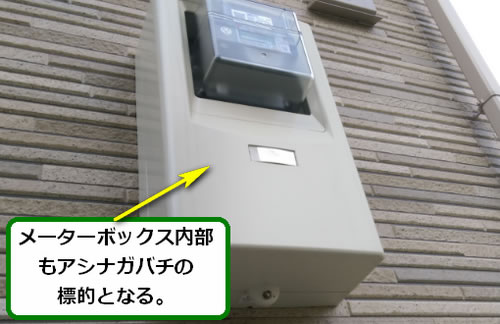 アシナガバチ調査駆除メーターボックス
