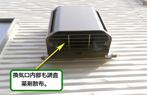 アシナガバチ調査駆除換気口