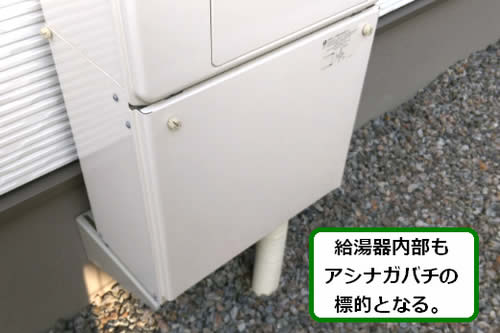 アシナガバチ調査駆除給湯器