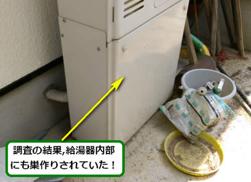 アシナガバチ駆除給湯器