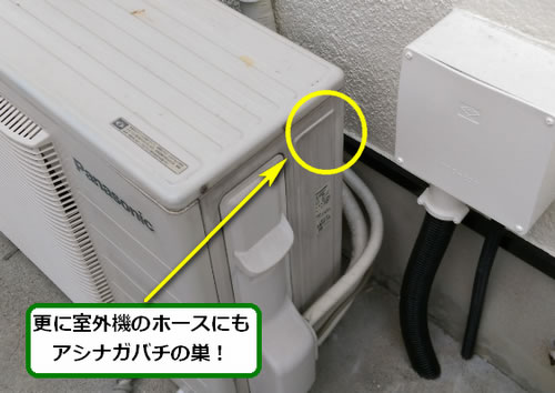 アシナガバチ駆除室外機