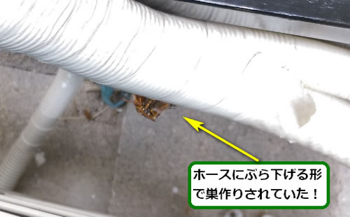 アシナガバチの巣駆除室外機