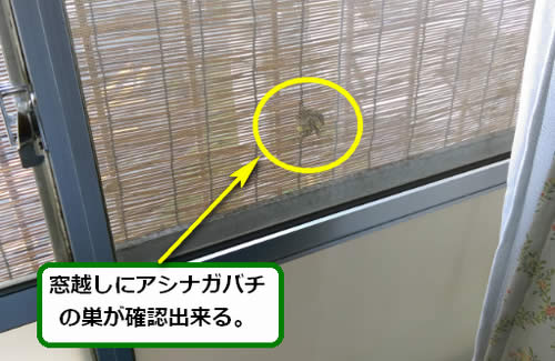 アシナガバチ駆除すだれ