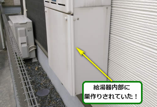 アシナガバチ駆除給湯器