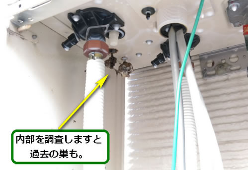 アシナガバチの巣痕跡給湯器