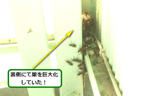 アシナガバチの巣駆除駐輪場