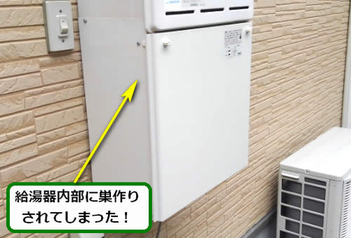 アシナガバチ駆除ガス給湯器