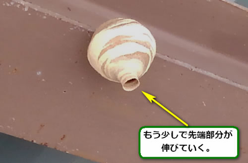 スズメバチの巣駆除鉄骨屋根
