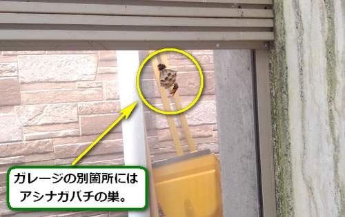 アシナガバチ駆除ガレージ
