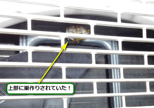 アシナガバチの巣駆除室外機内部