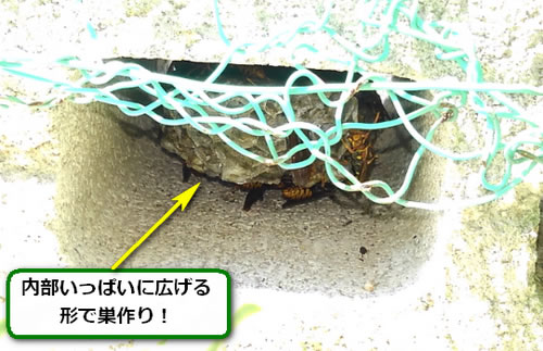 アシナガバチの巣駆除ブロック空洞