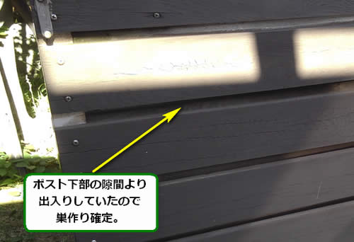 アシナガバチ駆除死角空間