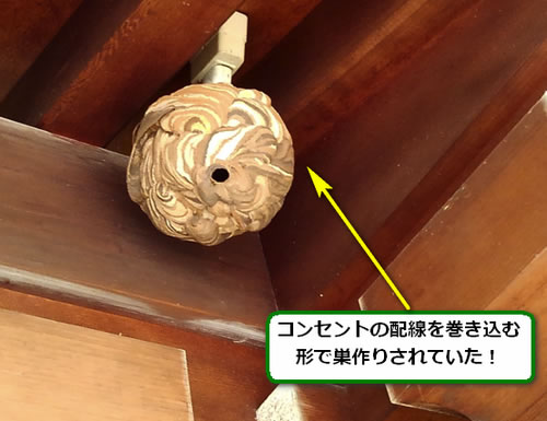 スズメバチの巣駆除拝殿軒下