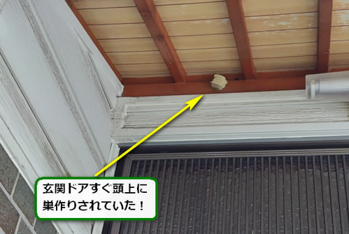 ドロバチ駆除玄関先
