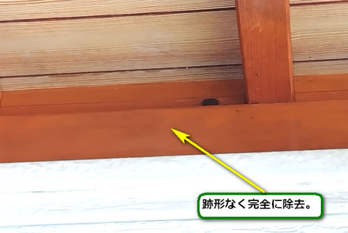 ドロバチの巣完全除去