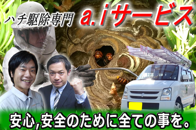 蜂駆除専門a.iサービス