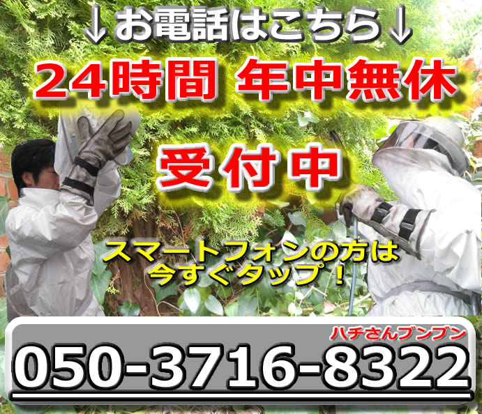 お電話はこちら！